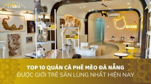 TOP 10 QUÁN CAFE MÈO ĐÀ NẴNG ĐƯỢC GIỚI TRẺ SĂN LÙNG NHẤT HIỆN NAY