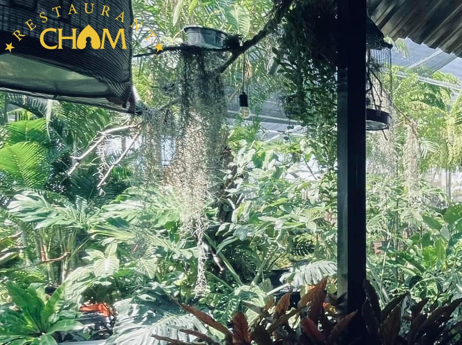 Tiệm cây và nước