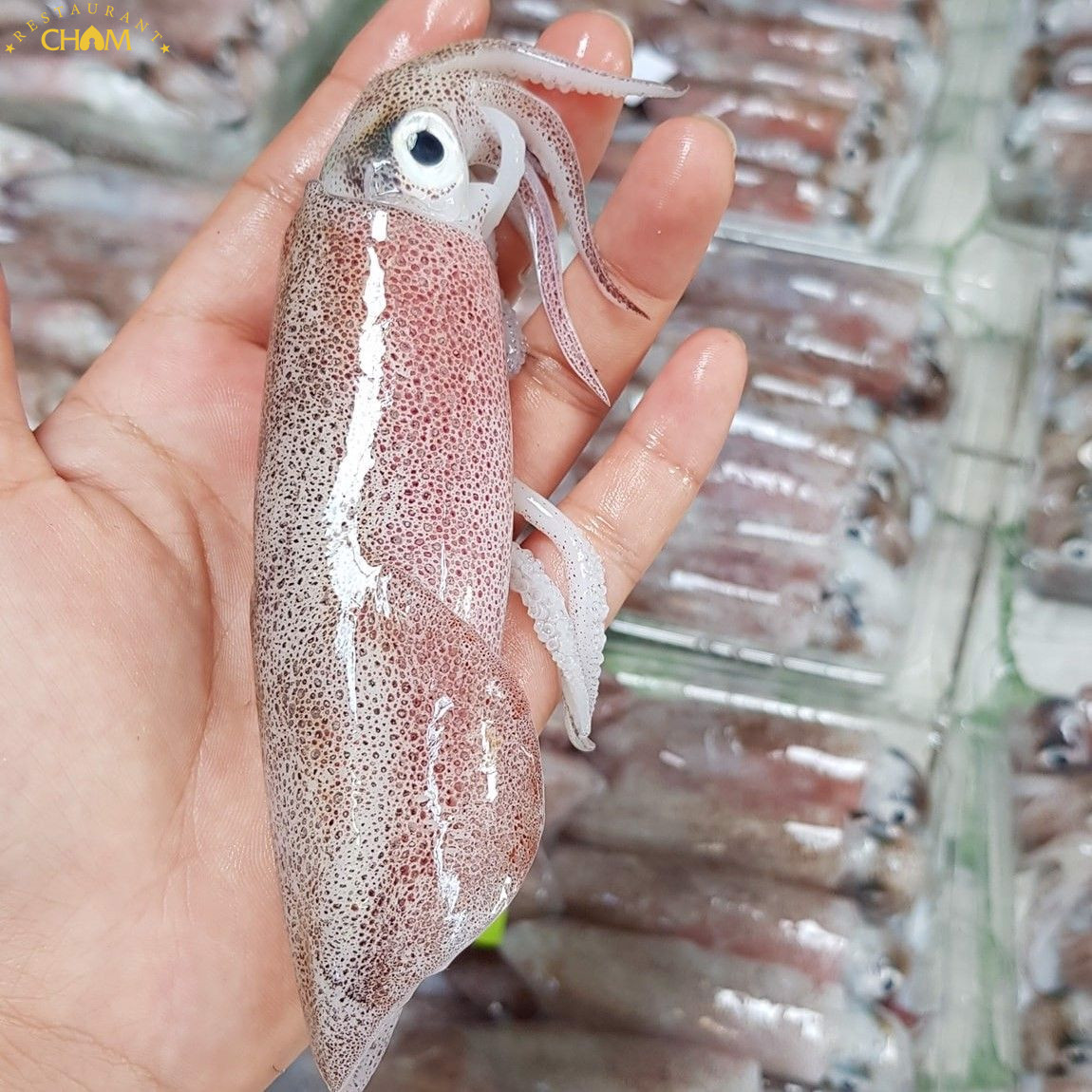 cách làm mực chiên giòn